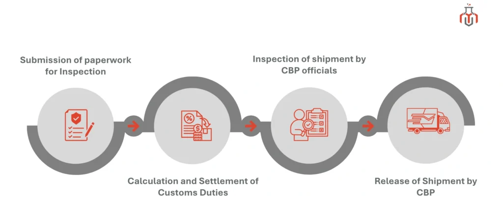 Infographics showing step-by-step customs clearance proces