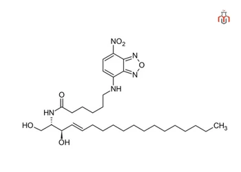 A molecular structure of Ceramide NP showing a long-chain fatty acid linked to a sphingoid base through an amide bond.