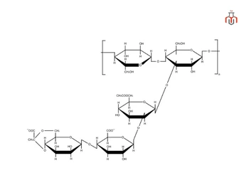 Chemical structure of xanthan gum