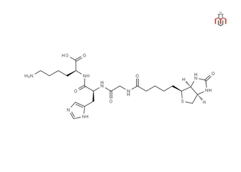 chemical-structure-of-biotinoyl-tripeptide-1