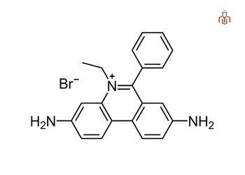 chemical-structure-of-ethidium-bromide
