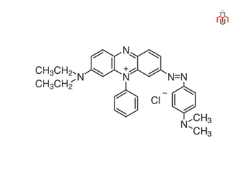 Structure of Janus Green B
