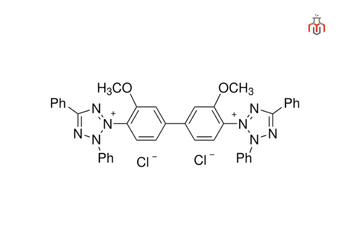 Structure of Tetrazolium Blue Chloride