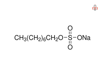 Structure of Sodium Octyl Sulfate